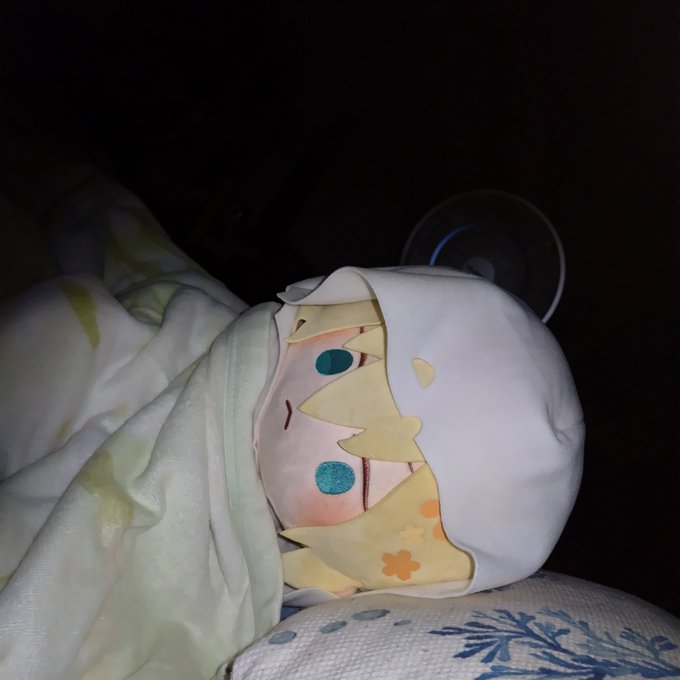 でかんばちゃんなら俺の隣で寝てるよ(誘惑に負けた)確かな質量……ジャストフィットいのち……よごれたら洗うから!洗うから!!(洗わないパターン) 