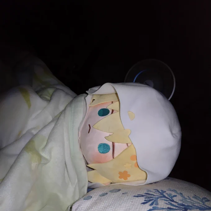 でかんばちゃんなら俺の隣で寝てるよ(誘惑に負けた)確かな質量……ジャストフィットいのち……よごれたら洗うから!洗うから!!(洗わないパターン) 
