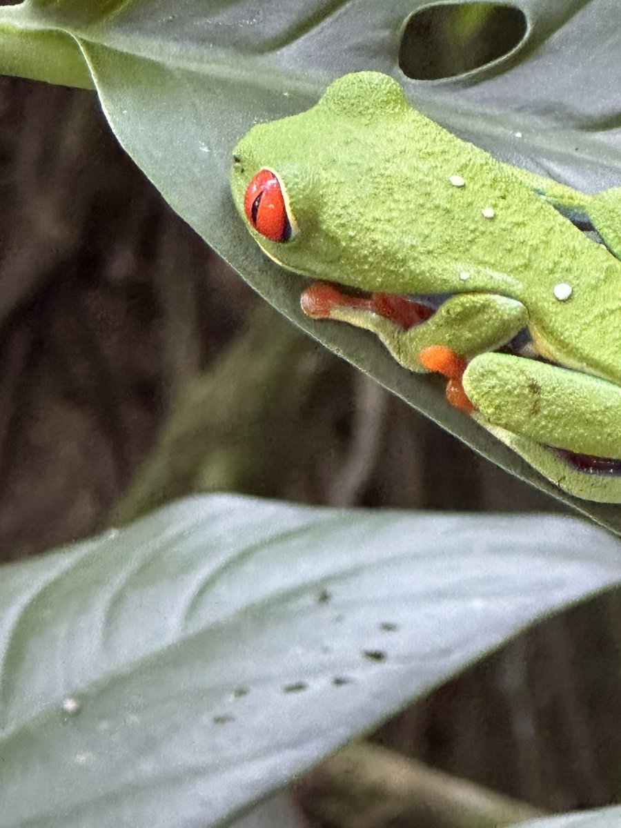 Alberto J. Rodriguez tweet media