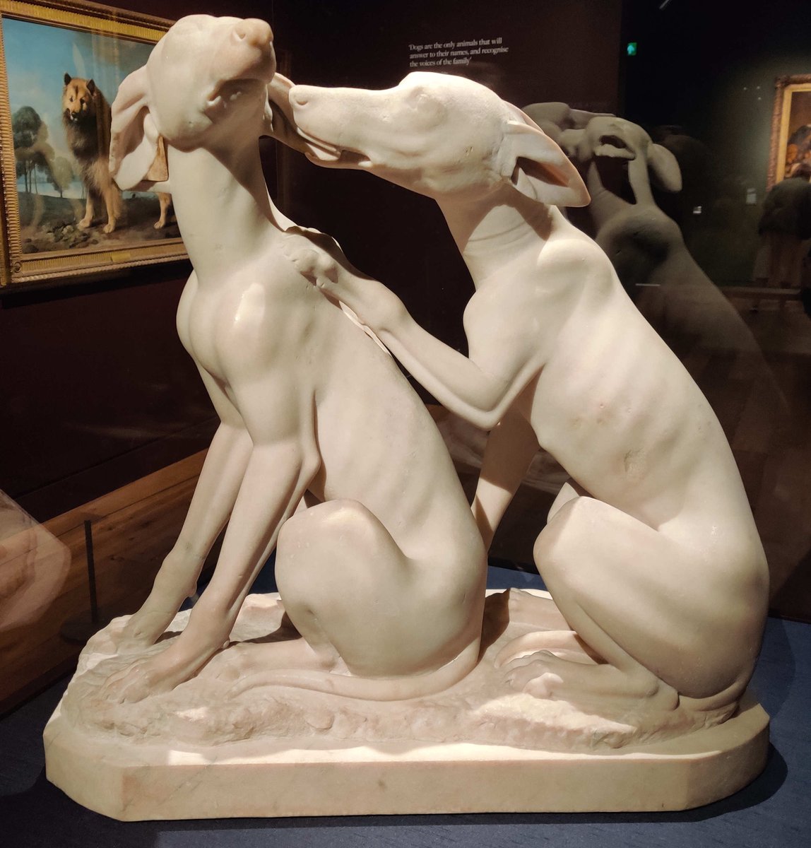 YearOneArt's tweet photo. Portraits of Dogs @WallaceMuseum till 15 October can't help but have some delightful images. Lots of fun but also some problematic ideas about how the privileging of dogs may permit ill treatment of other animals &amp; a focus on breeding relates to other hierarchies #WallaceWoofs https://t.co/OCVKUXxIBs
