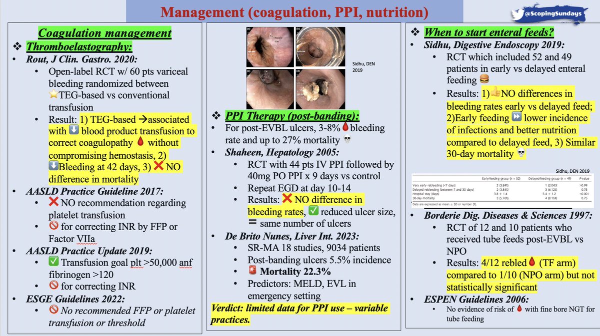 #ScopingSundays tweet media