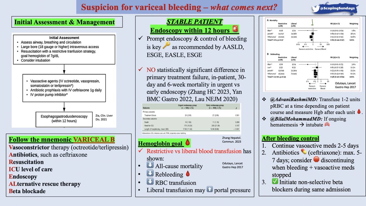 #ScopingSundays tweet media