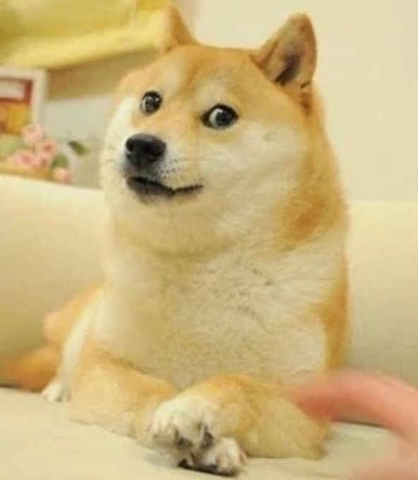 DogecoinMulti's tweet photo. #dogecoin https://t.co/ROMSo7Jkjr