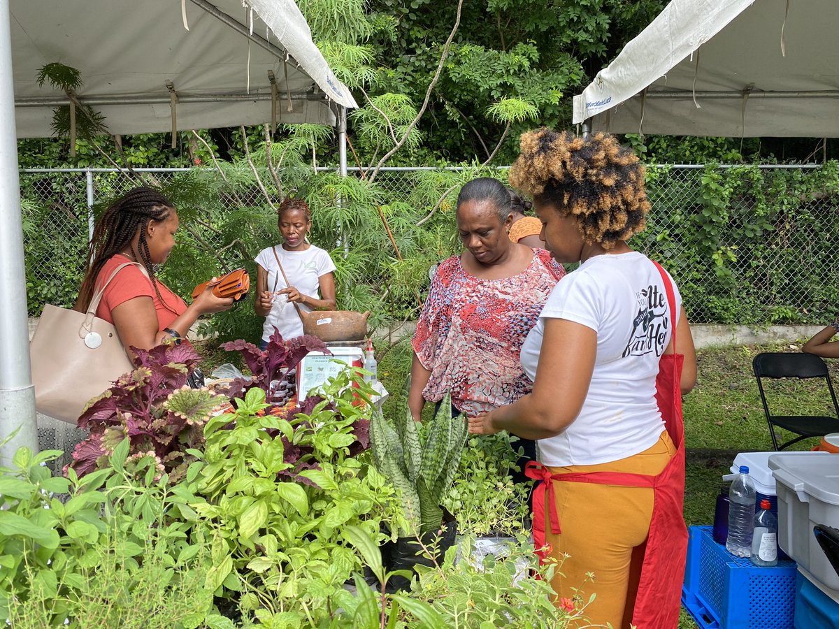 HelenDaughters's tweet photo. We’re raising our breadfruits to another successful #FarmHers Market!
Thank you for supporting our #FarmHers every single month. We can’t wait to see you again in September! 👩🏾🌾💚
#helensdaughtersslu #empoweringwomen #womeninag #foodproducers #saintlucia #farmhers https://t.co/ETmAFbx14K