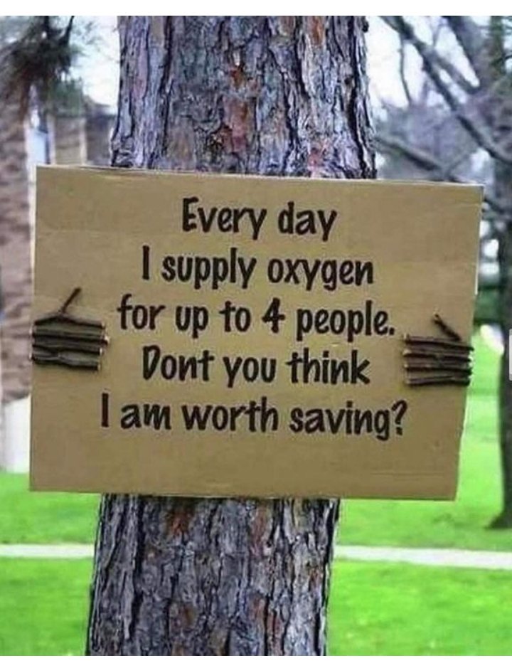 miirom_ug's tweet photo. As I wait for the last #rains for 2023, my desire to #plant 1,000,000 #trees is still #alive.
Support my #project to plant trees in the #semi_arid #community of Kikyusa #Subcounty, @LuweroDistrict
@teamtreesofficl @Treesftf @TreesforCities @CIFOR @ForestDeptt @Electric_Forest https://t.co/VH09fLQzNu