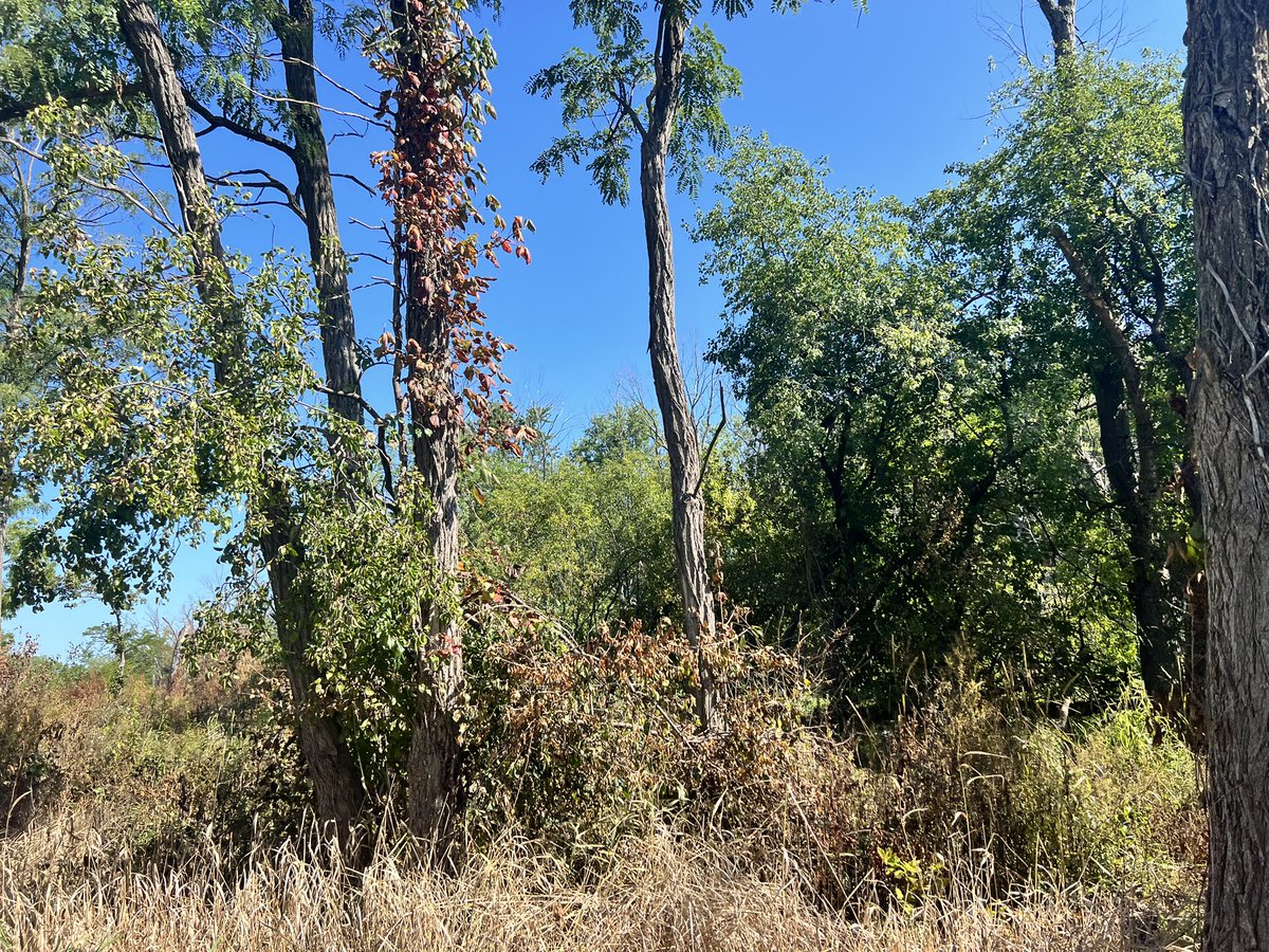Sunday morning thoughts as I ran today. “Changes that seem small and unimportant at first will compound and turn into remarkable results if you’re willing to stick with them for years." <a href="/JamesClear/">James Clear</a> #112Leads #getoutside