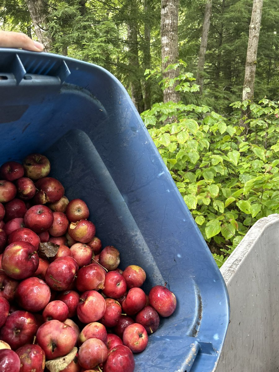 Mike Lepene tweet media