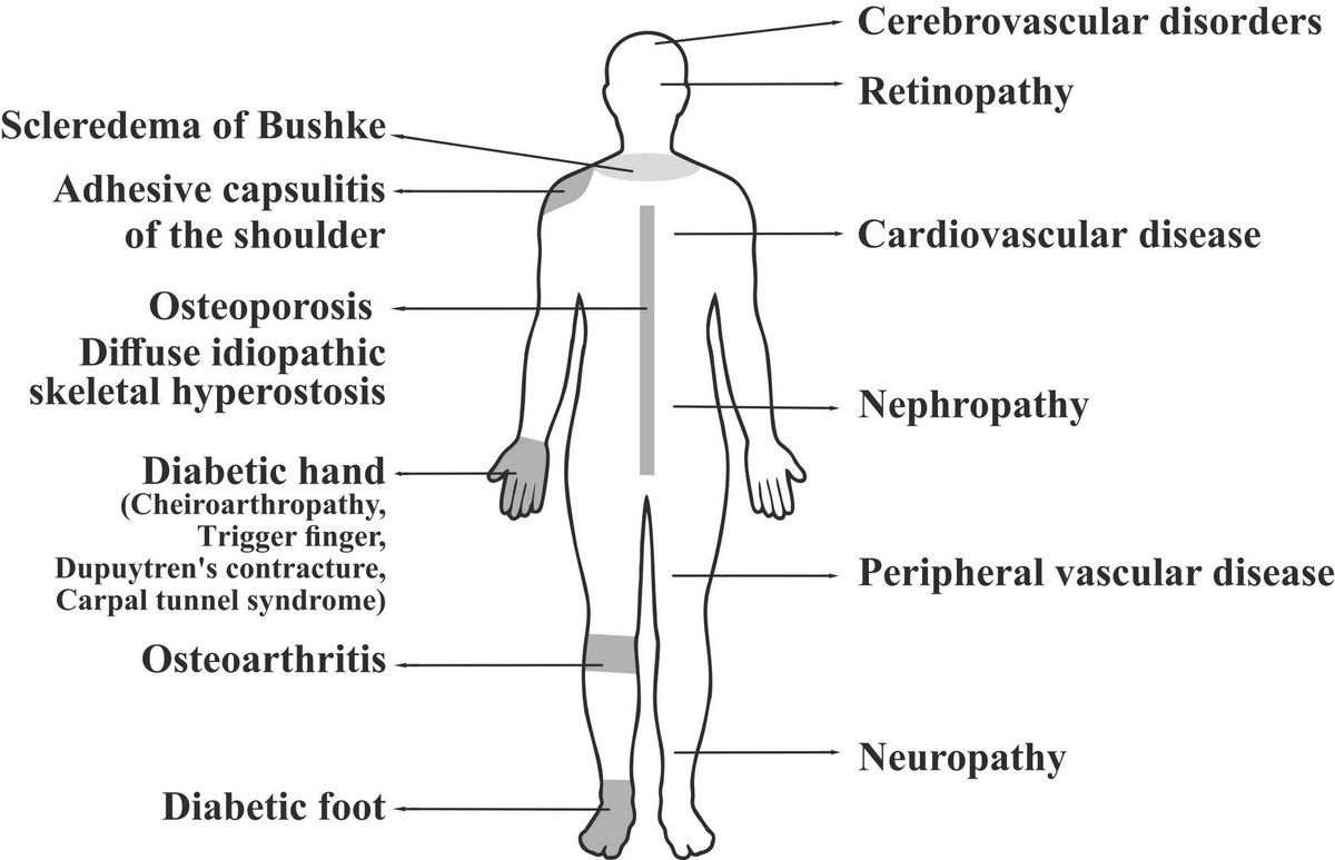 Christoph Burch tweet media