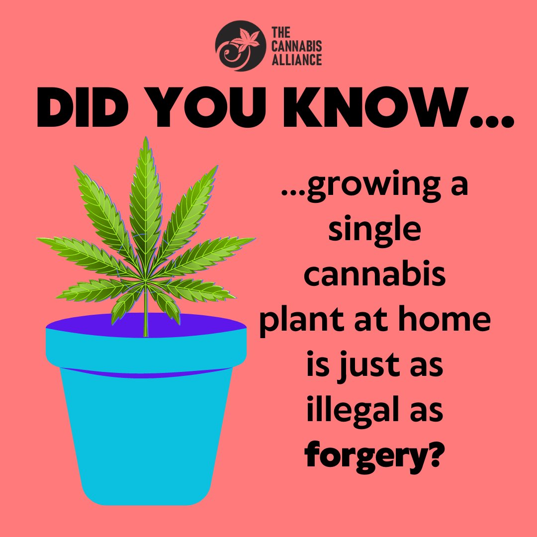 Noon!  Today!  A plant should not be a felony!
ow.ly/OYUq50PELCl