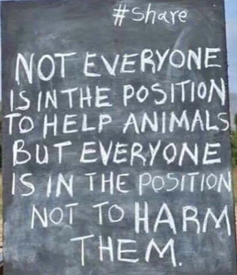 Sunday’s missive !

Wouldn’t it be a better world if we all had a go at this 💚