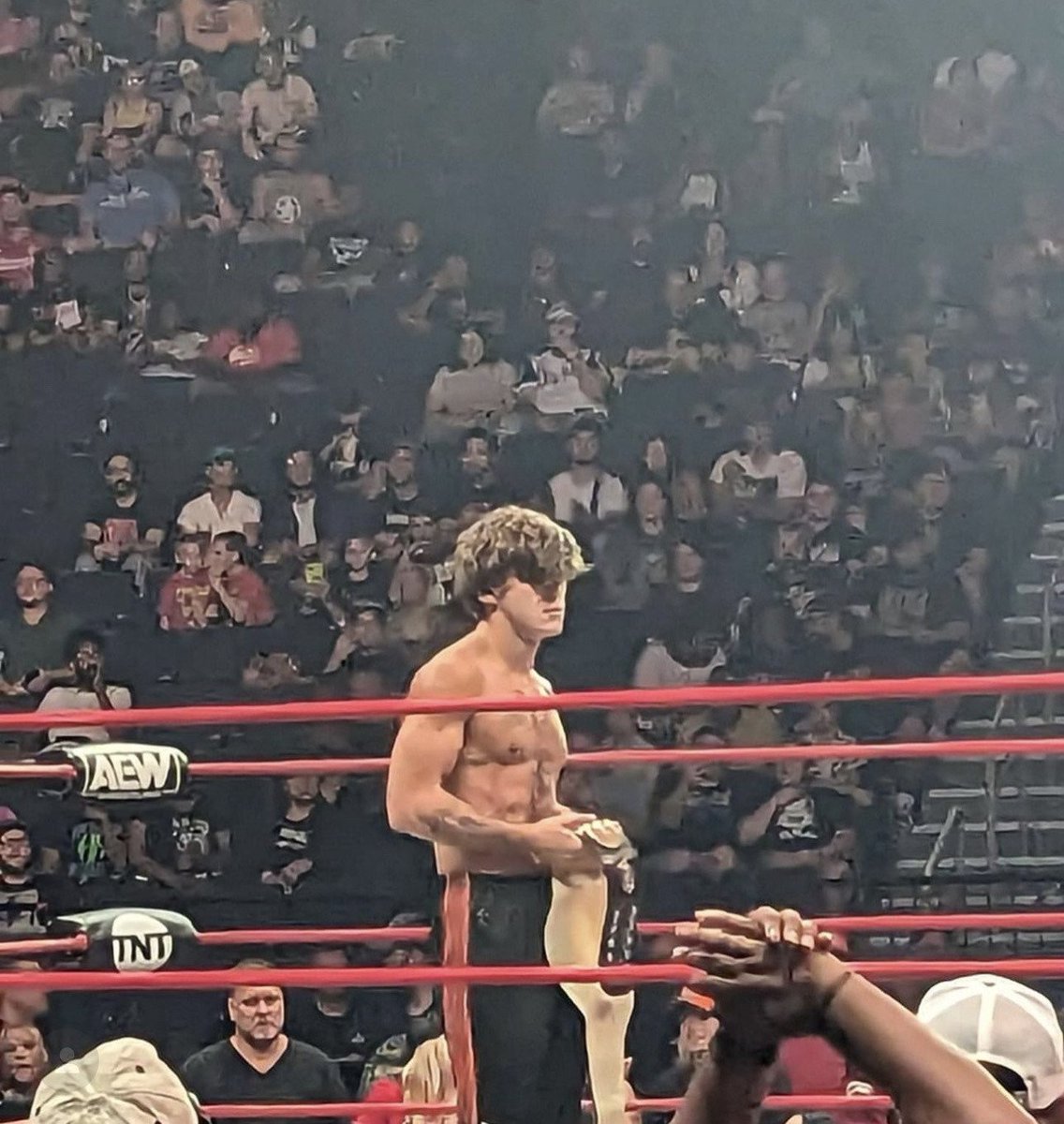 DualityInBloom's tweet image. Soon it comes home.