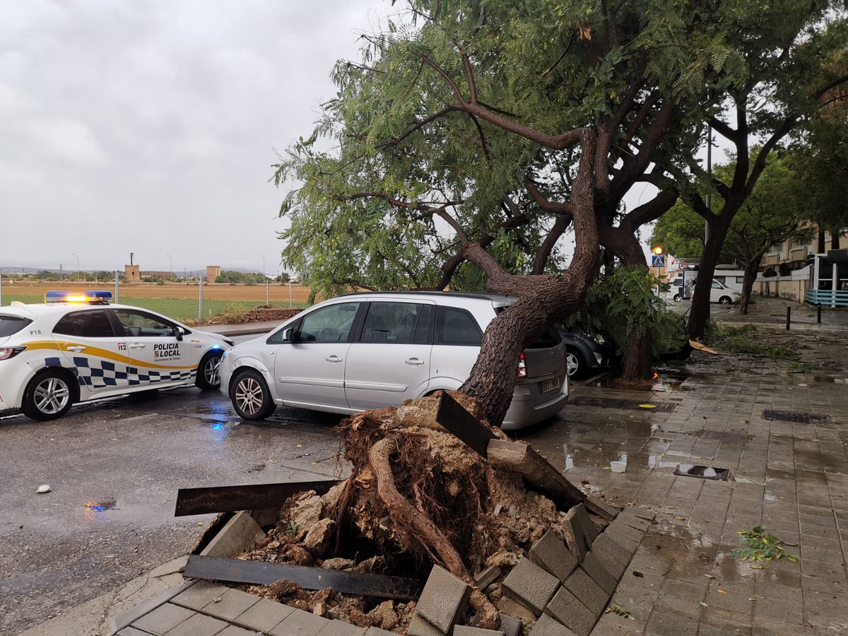 policiadepalma's tweet photo. Hemos atendido a lo largo de la mañana 141 servicios relacionados con el temporal. 

Caídas de árboles, toldos, andamamios y desprendimientos de elementos de fachadas y restricciones de tráfico. 

Afortunadamente, no lamentamos daños personales. https://t.co/GxBombZYXF