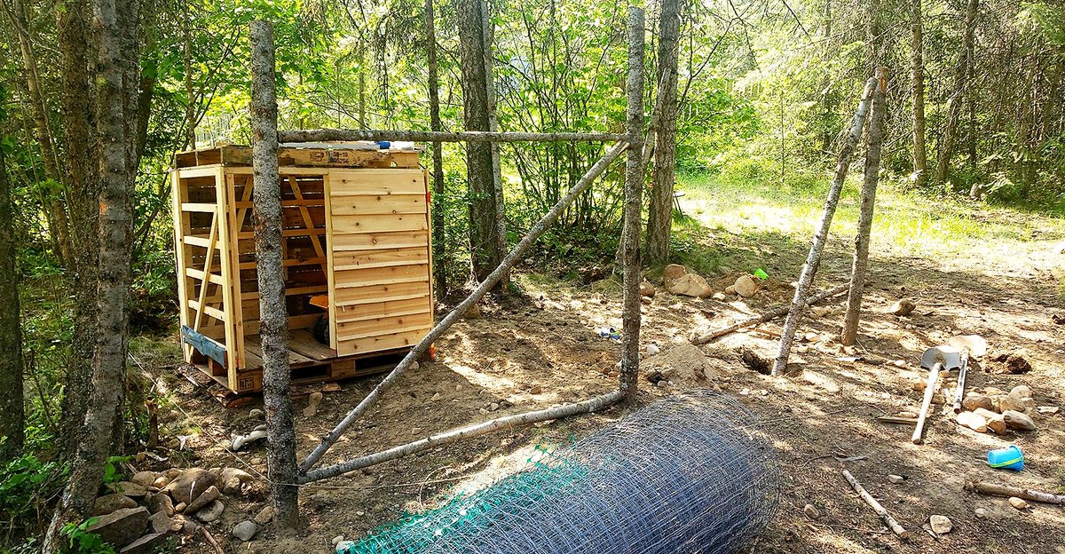 BCForaging's tweet photo. Making #Progress! Our coops coming along nicely, reused #pallets and other #reclaimed wood, only thing we bought were the screws. Hopefully the #hens will love it as much as we do 👨‍🌾🐣

#homesteading  #chicken #BCForaging https://t.co/UfJCGkznAE
