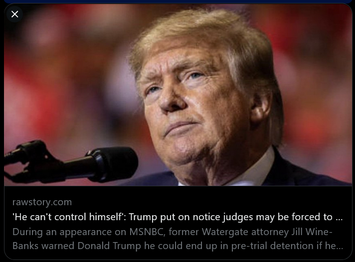 Trump To Campaign from Jail...? #wtpBLUE #ProudBlue #ResistanceUnited -- Trump is putting the judges in a tough spot if they decide to jail the former president, but that he may leave them no choice. --Judge Tanya Chutkan, who is overseeing Trump's Washington D.C. federal…