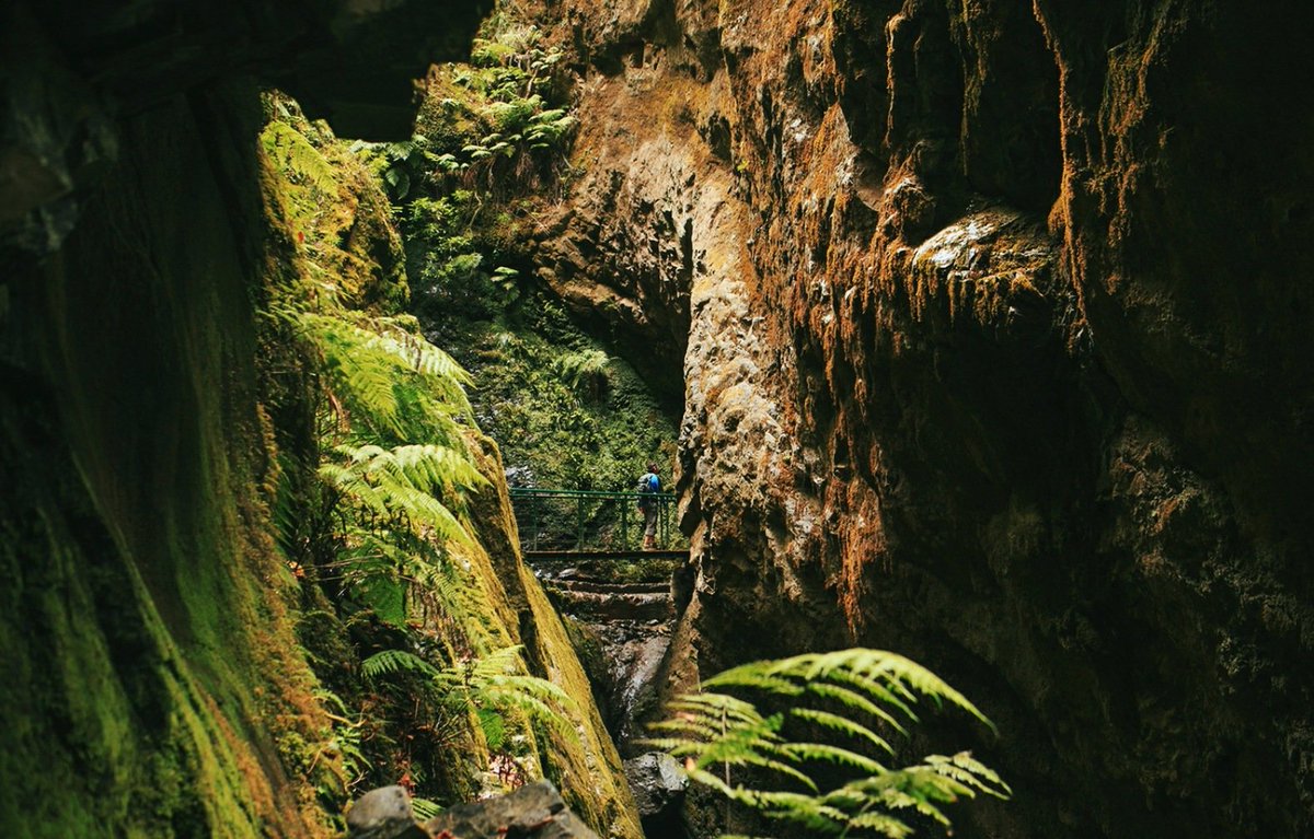 NVPORTUGAL's tweet photo. Madère, Portugal 🇵🇹
(@tripinwild 📸) https://t.co/vksEbfuscI