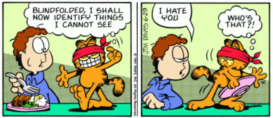 Garfield Without The Middle Panel tweet media