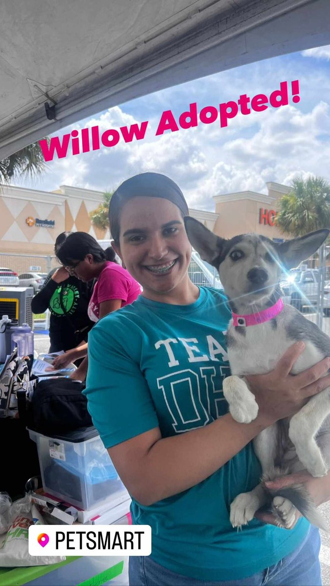 Why is PVAS posting Willow as Urgent when they know they're taking the treasure to an adoption event ⁉️ Sweetheart Willow got adopted 🎉🎊🎉Hopefully she will be completely happy in her new home & the adopter will prove worthy of Willow's love & trust🙏May you be treated like a👑