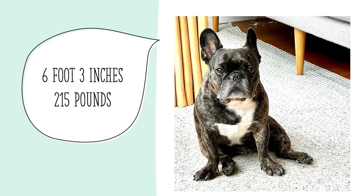 I. Drank What? tweet media