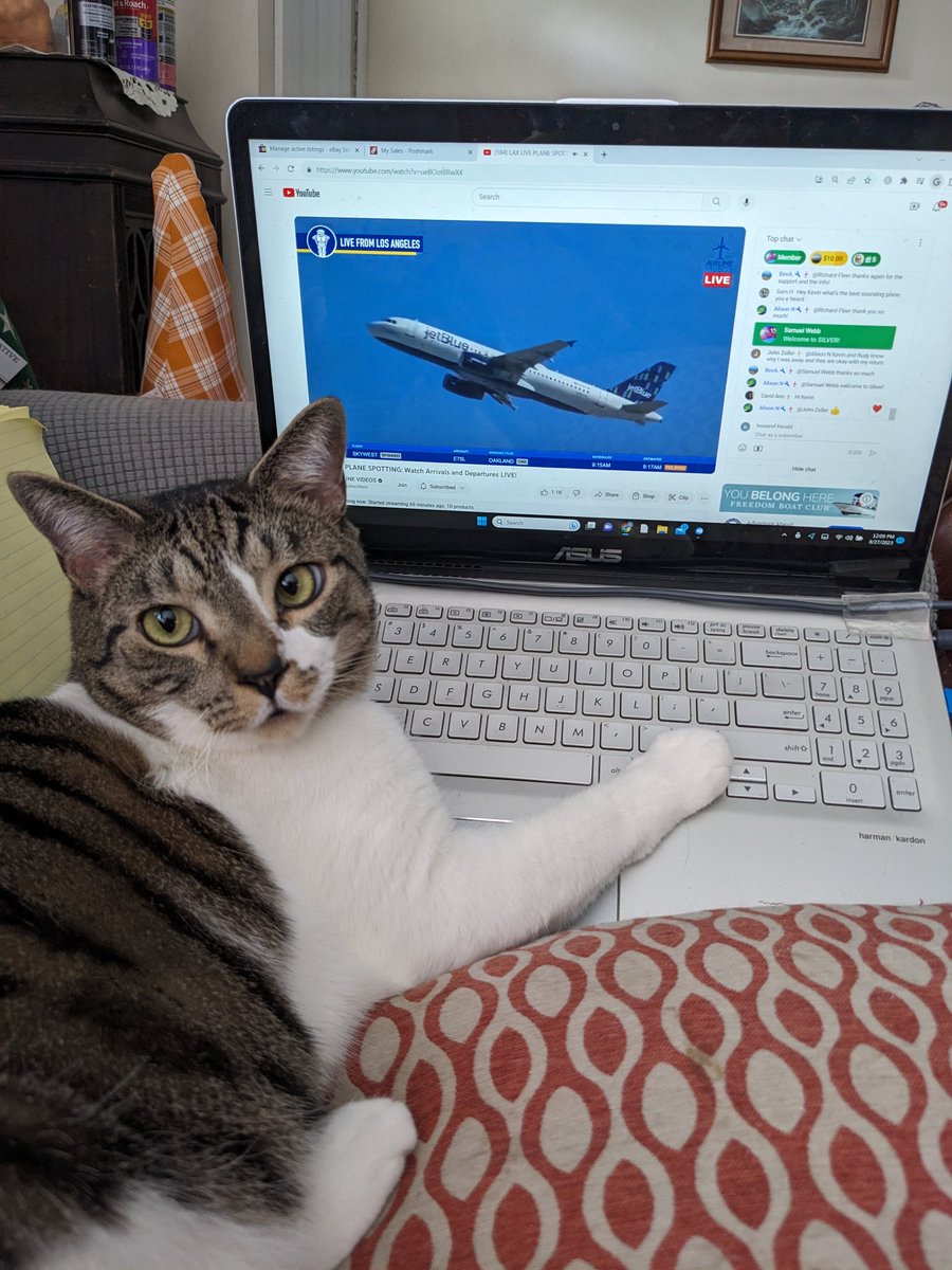 kikiher33's tweet photo. @airlinevideos JJ likes the Big Sunday Show! https://t.co/BTY0l0OWEv