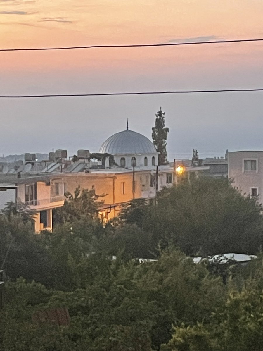Bu caminin depremde minaresi yıkılmış. Bir ağaç eksikliği hissetmiş olmalı.