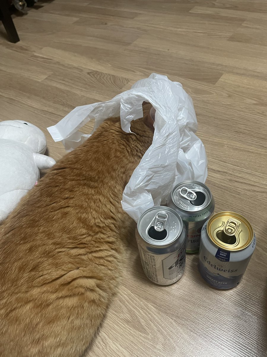 ddubicat's tweet photo. 잘지냄 https://t.co/jbZA8ewUeh