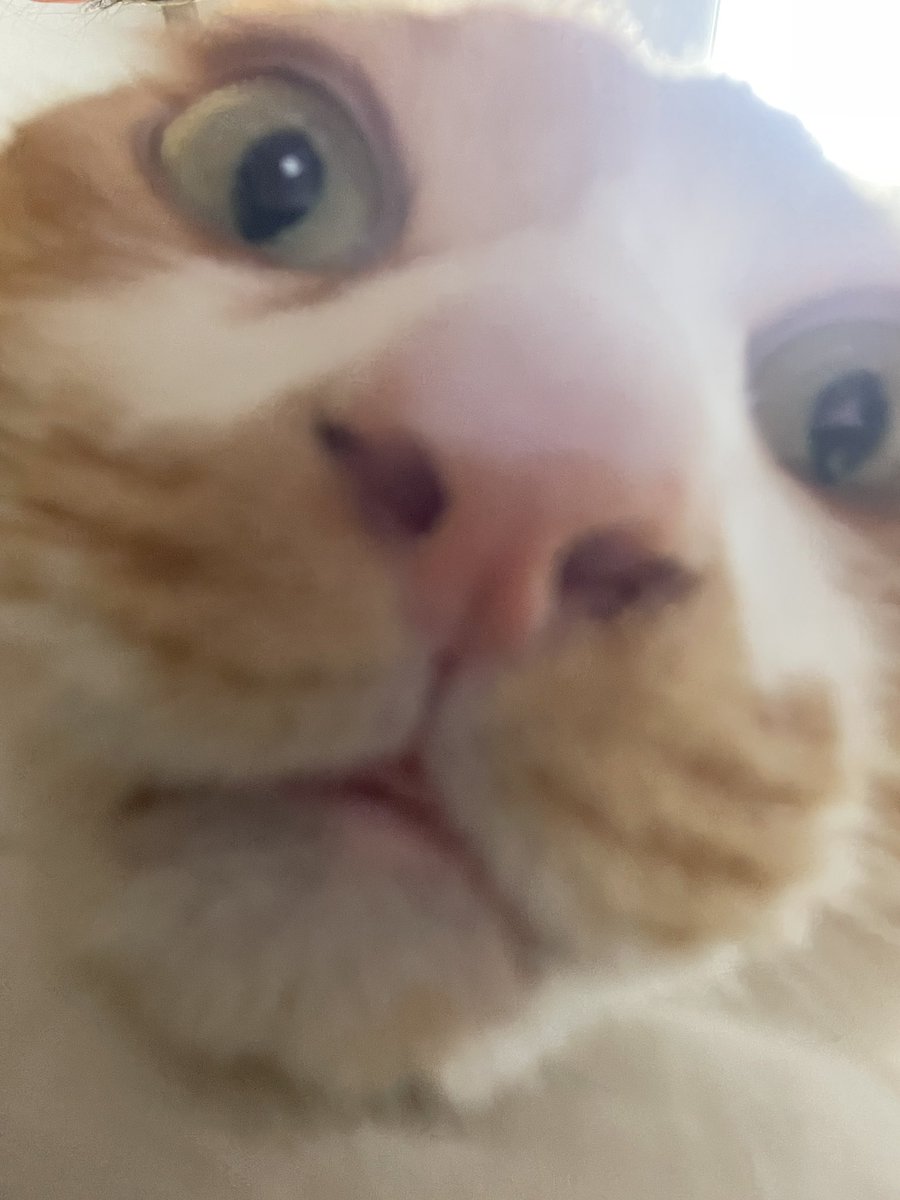 ddubicat's tweet photo. 잘지냄 https://t.co/jbZA8ewUeh