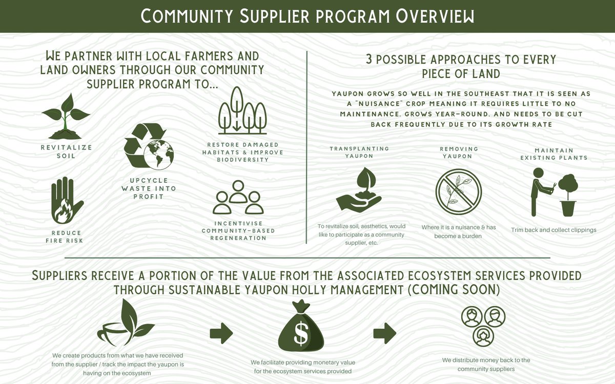 Why is rewarding community-based regeneration so important to us? 👀

Besides making delicious native yaupon tea of course 

TLDR: It's all about closing the loop ♻️

Read more about it below 👇
yaupon.store/community-yaup…