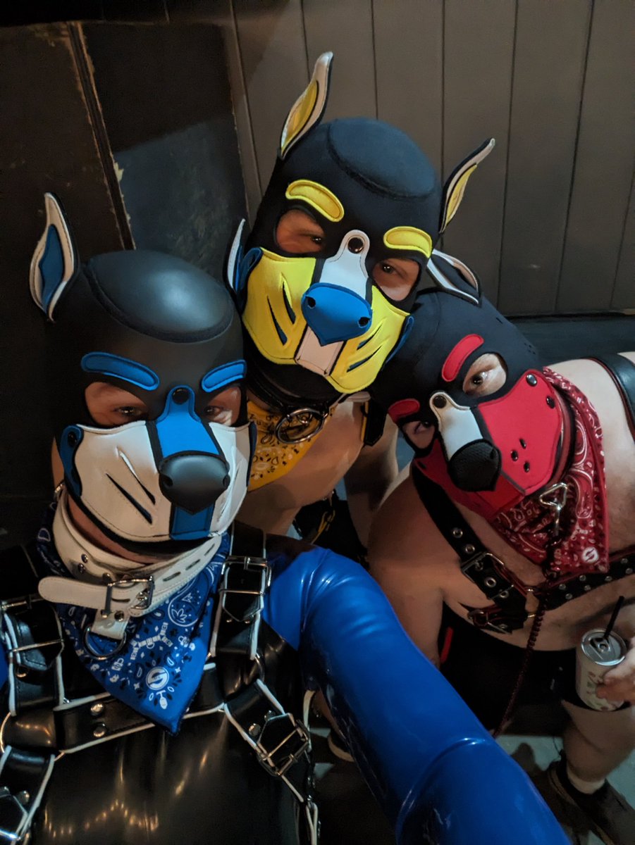 Saz_erac's tweet photo. First night as a rubber dog 💙 

First Puppy Park went amazing! Can't wait for the next one!

❤️@tobiasthered 
💛@Lykos_pup 
🧡@Degenerate_dawg https://t.co/Dh9kgIC24s