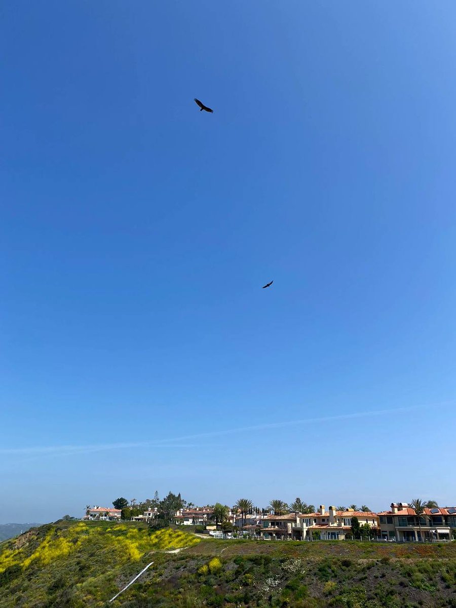 postal_45's tweet photo. After seriously loving only to realize that I am still me, and you are still the same you who do not like me. It has nothing to do with time distance scenery, we are not the right person.
#Da Eagle
#Blue sky
#House
#Beauty
#Grass https://t.co/CsCXQSpdSs