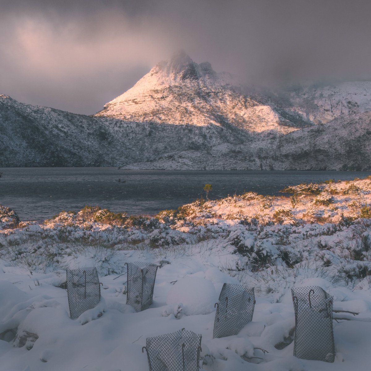 awaywithivan's tweet photo. Some photos from my last trip in Tassie, every time I look those photos I asked myself why I left that place 🤷🏽‍♂️. #discovertasmania #cradlemountain #tasmanian @awaywithivan https://t.co/uxrl2cWdQ1