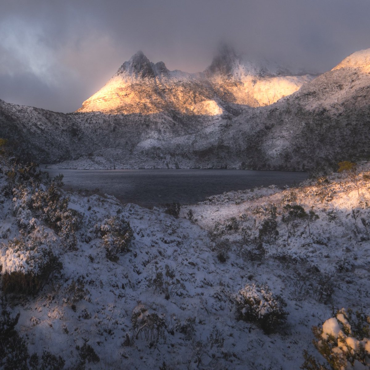 awaywithivan's tweet photo. Some photos from my last trip in Tassie, every time I look those photos I asked myself why I left that place 🤷🏽‍♂️. #discovertasmania #cradlemountain #tasmanian @awaywithivan https://t.co/uxrl2cWdQ1