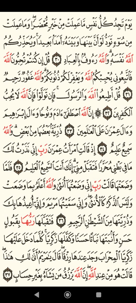 usdt_d's tweet photo. 🍀الورد اليومي🍀
#قران

🌿

ربّ أحيِنا على القُرآن وتوفّنا عليه حياةً فيها الغِنى والرّبيع والكفايَة وميتةً فيها الرضَا منك والقُربى🤍

🌿

🍀
#فريد
#سكربت51 
#محمد_صلاح 
#فاطمة_المؤمن 
#اللهم_ارحم_مو��انا 
#حتي_لا_يهجر_القران
#مملكة_القوة_للبدايات 
🍀
❣️مررها لغيرك ولك الأجر❣️ https://t.co/XZXudwqTyE