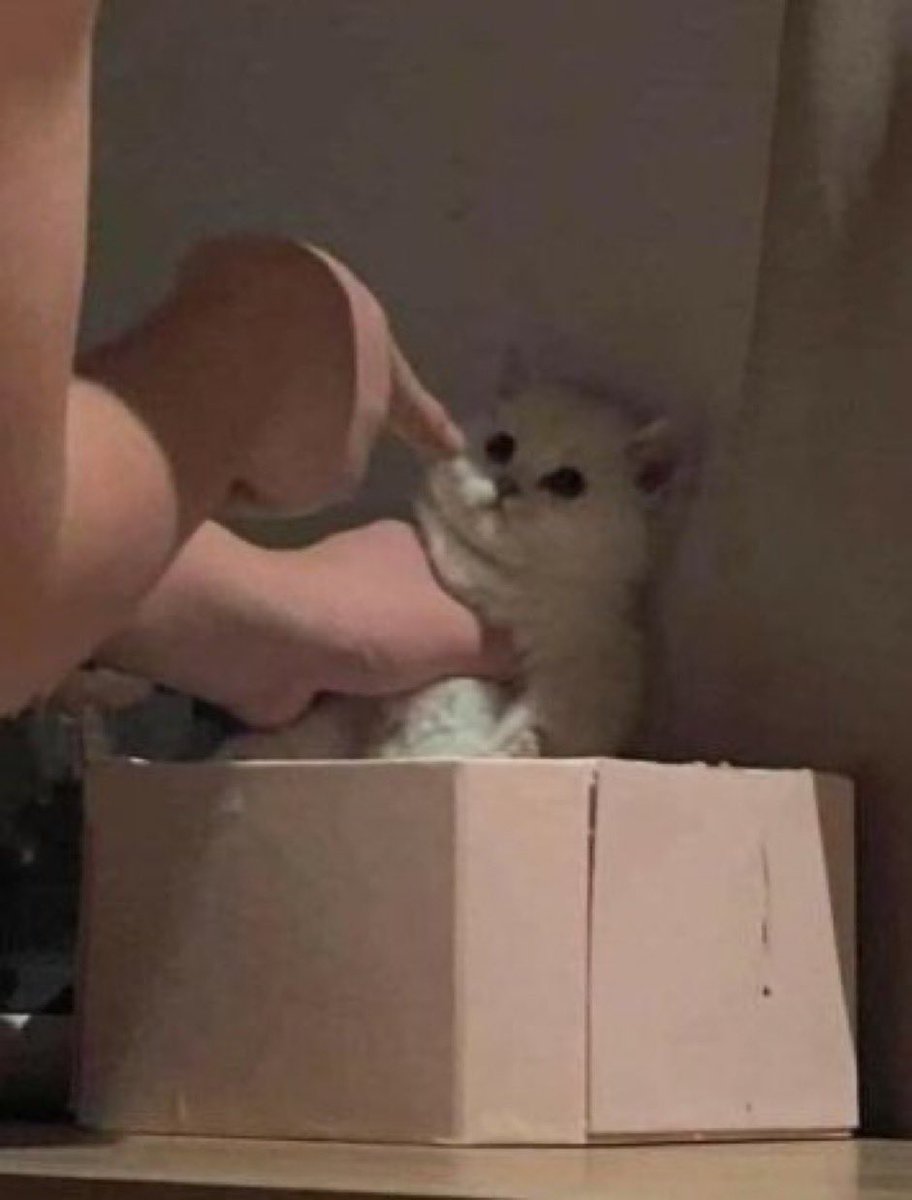VFLeuphoria's tweet photo. Me when my team spend buy time talking about random shit and do their own thing rather than the strat I called https://t.co/CvrTRQGwSJ