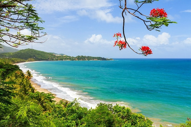 int_travel_news's tweet photo. American Airlines, Delta or Jetblue:  New York 🇺🇸 (JFK) to  Puerto Rico 🇵🇷 (SJU)  Cheapest $262 Fastest $437
https://t.co/Bc7HntJzn1 #Traveldeals #Cheapflights #PuertoRico #Travel https://t.co/jY3FqHiyHL