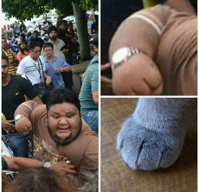 F4jY9E_WYAAp0Jp?format=jpg&name=small