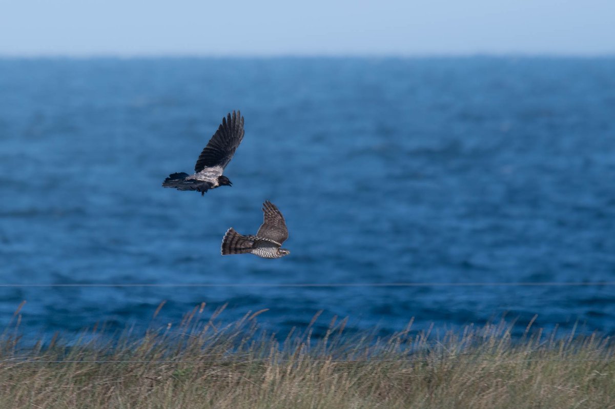 Lars Burnus tweet media