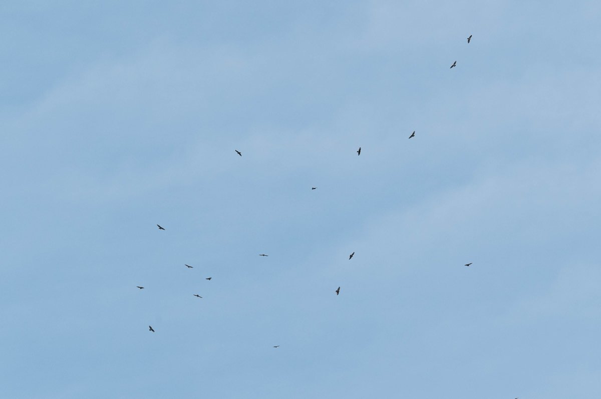 Lars Burnus tweet media