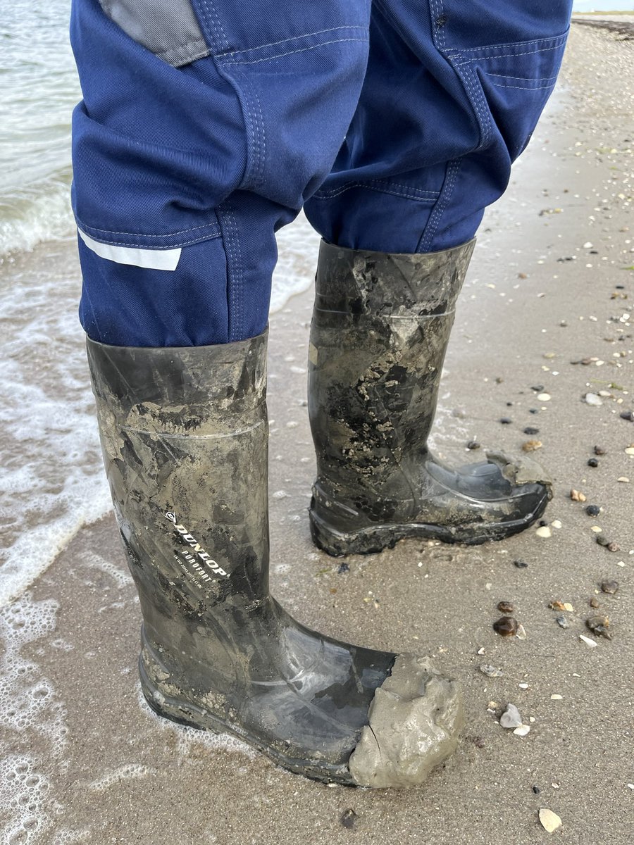 NorabootsDK tweet media