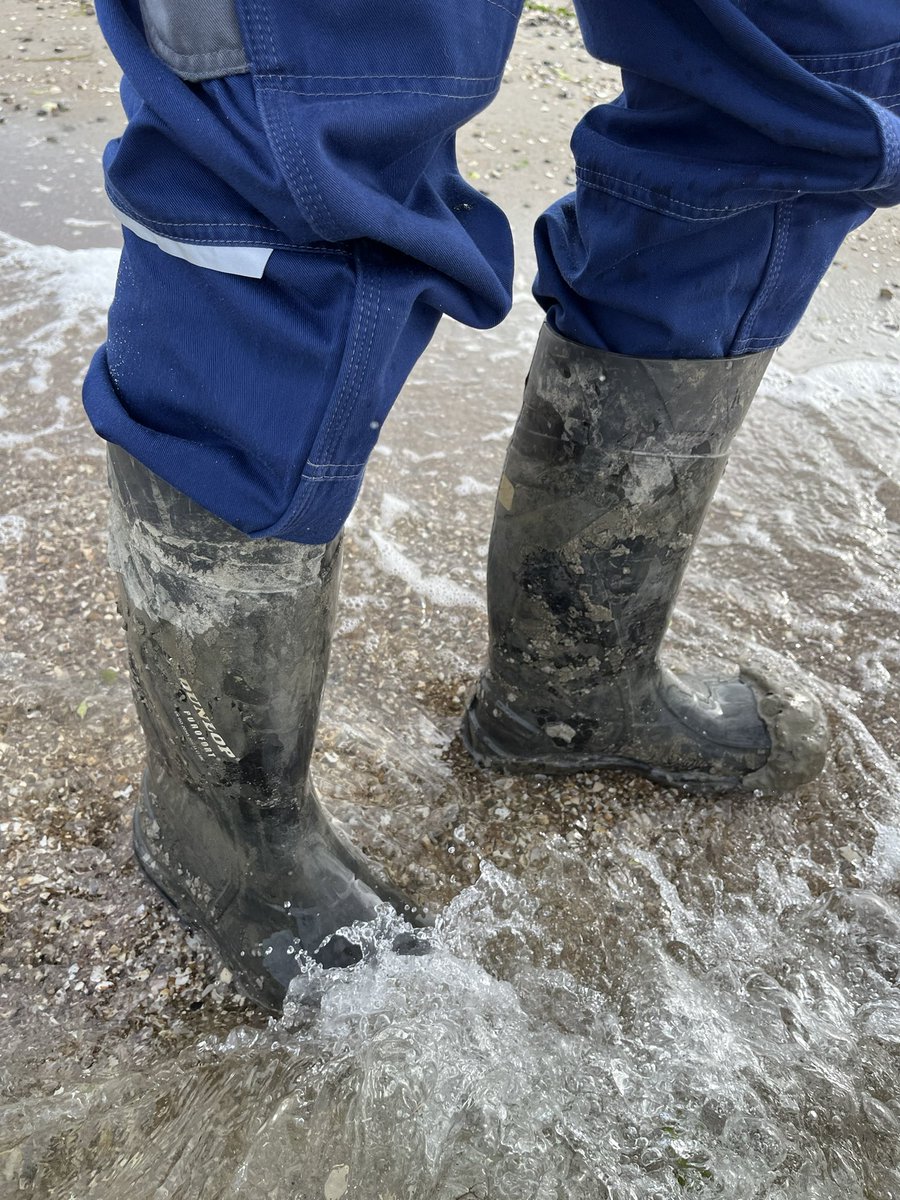 NorabootsDK tweet media