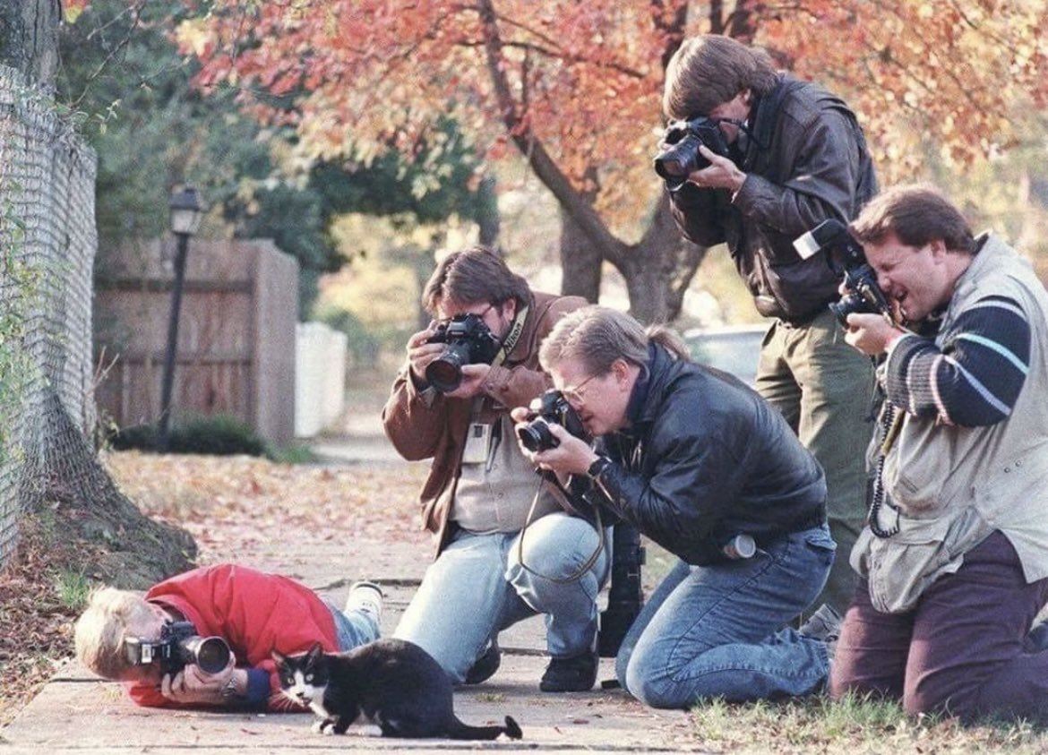 Paparazzi take pictures of Bill Clinton's cat named Socks, 1992