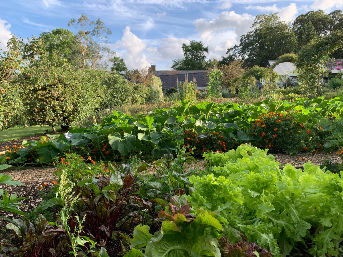 HoughtonLodge's tweet photo. 🌿 Elevate your summer plans with a visit to the peaceful haven of Houghton Lodge Gardens.

Revel in the colors and scents as you explore our beautifully curated landscapes.

#HoughtonLodgeSummer #BloomBloomElegance https://t.co/0zB3f0SFeL