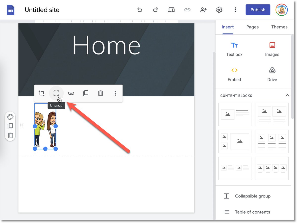In Google Sites when I add a picture, I size the width and then choose the UNCROP icon. #googleEDU