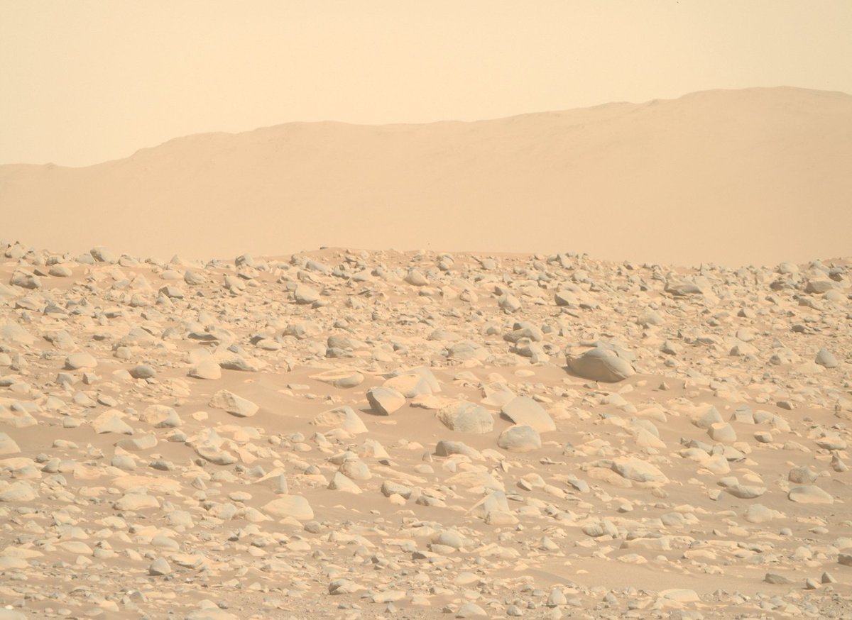 Most recent images of Mars from Perseverance rover