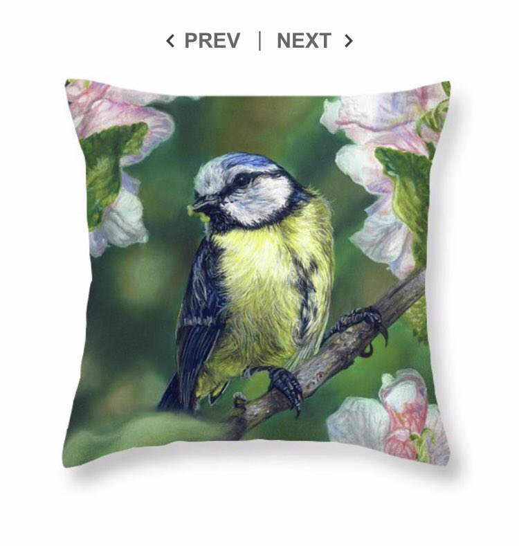 ArtAmandasmith's tweet photo. Throw cushions of my Blue tit Amongst Blossoms are available from Fine Art America, link below

https://t.co/mqnzkFxjm5

#artforsale #bluetit #gardenbirds #birdart #spring #homedecor #throwcusions #cusions #art #artist #animals #animalart #animallovers #wildlife #wildlfeart https://t.co/P9HczAxYOl