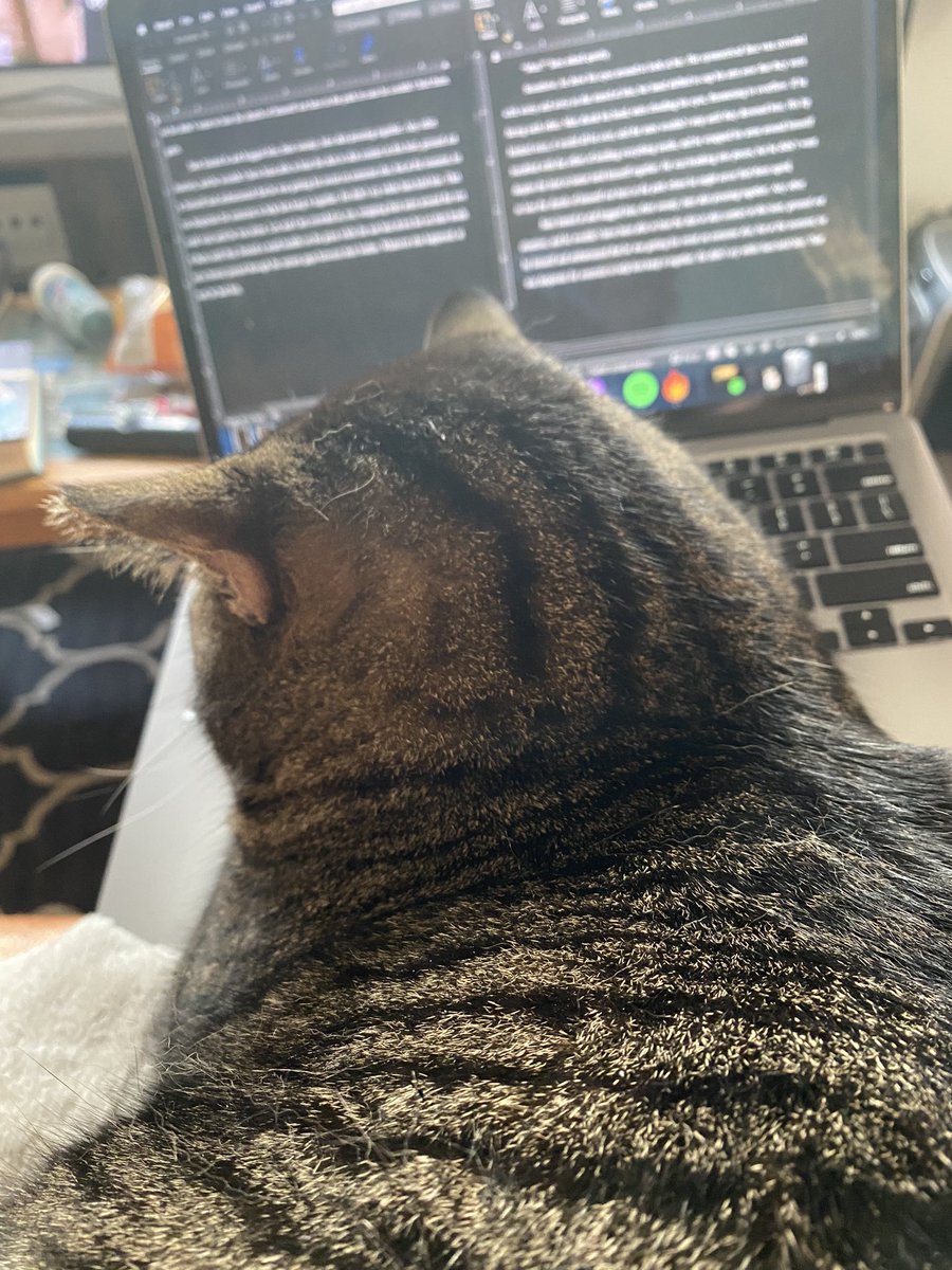 wanderingbard7's tweet photo. Editing with a cat is like playing a video game on hard mode because they arbitrarily decide sit on your keyboard so you must pay attention to them. I guess it's break time lol. https://t.co/fWPdvXRgzc