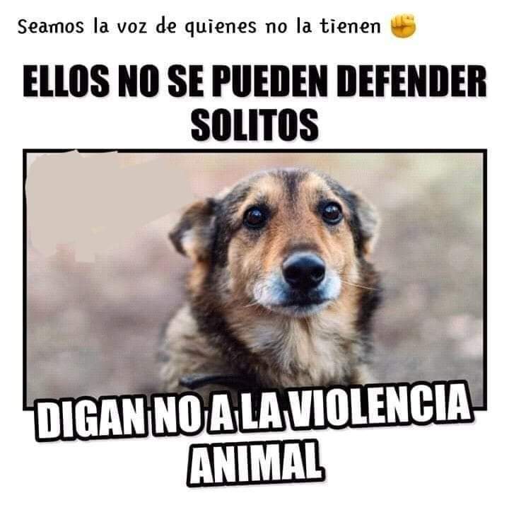 GRamirezF_D12's tweet photo. Seamos su voz ✊ https://t.co/Ju2pqrSK9B