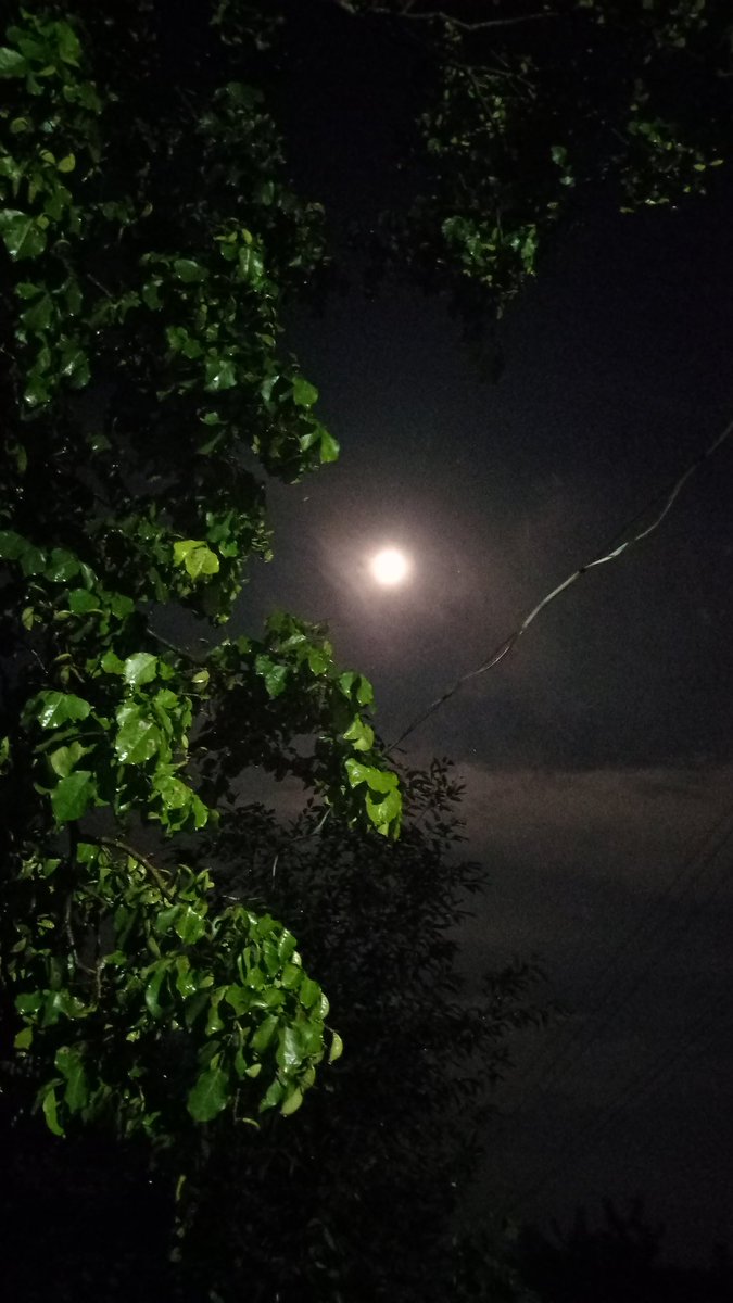 BSRBabu23's tweet photo. #Hello FriËnd's...!!
    All the #Follow Number's 
#G♡⁠♡⁠D_NiGHT_SWEET_DREAMS 😴 💤 https://t.co/UeBc7gUIno
