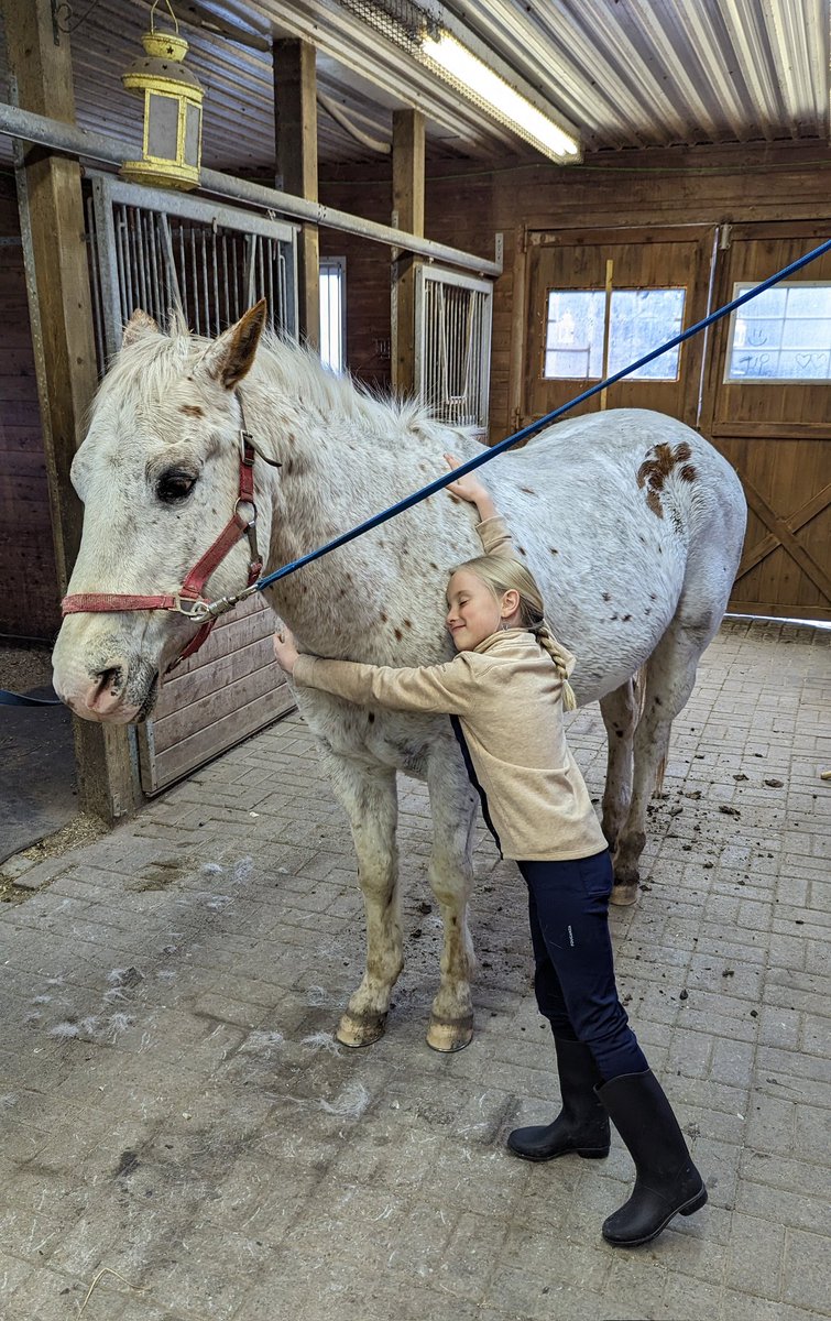 Mr. MᶜAlpine tweet media