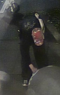 Another image with a good view of the hat.