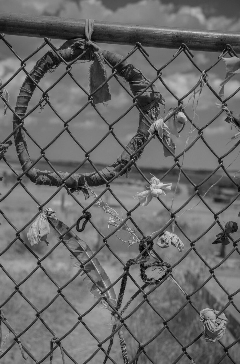 Emergence Magazine tweet media